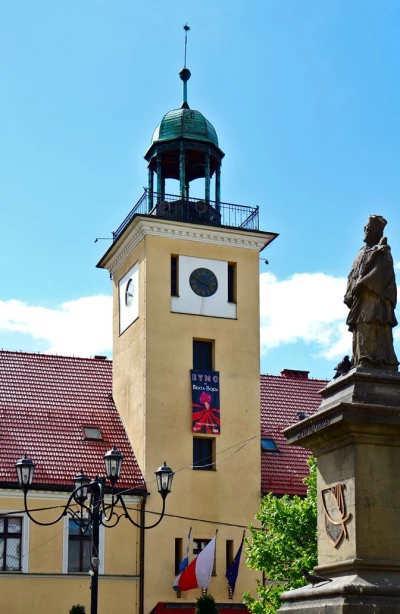 Muzeum im. o. Emila Drobnego w Rybniku